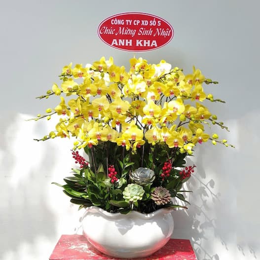 cửa hàng hoa tươi bình thủy cần thơ