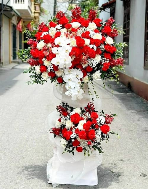 dịch vụ điện hoa cà mau