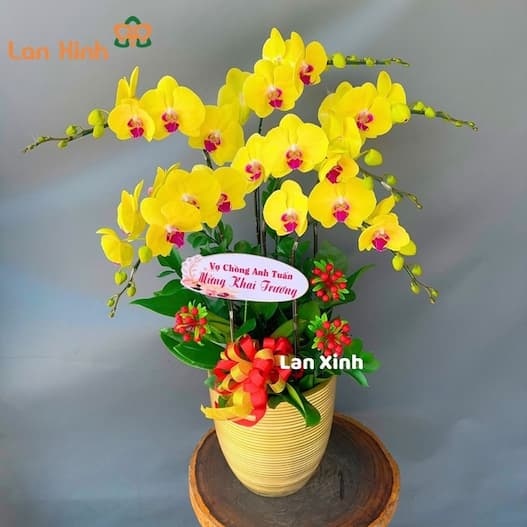 điện hoa Bà Rịa