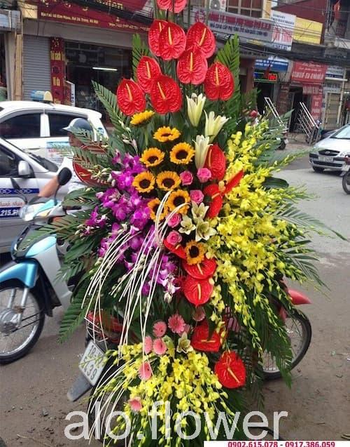 hoa khai trương lan ly