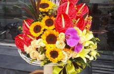 SHOP HOA TƯƠI LONG HẢI LONG ĐIỀN BÀ RỊA