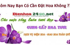 Cửa Hàng Hoa Tươi Sunny Flowers