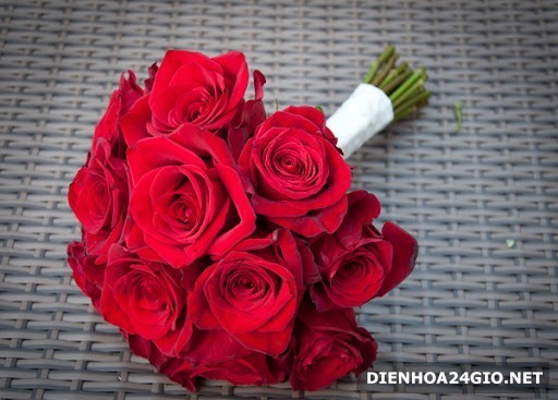 Bó hoa hồng 9 bông: Một bó hoa hồng 9 bông tươi tắn, thơm ngát là món quà ý nghĩa dành cho người thân yêu. Nhìn thấy bó hoa đẹp lung linh kết hợp cùng khung cảnh tuyệt đẹp, bạn sẽ không thể rời mắt khỏi hình ảnh tuyệt vời này.