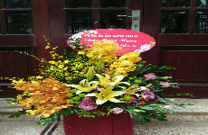 Shop hoa tươi ở Thái Bình 