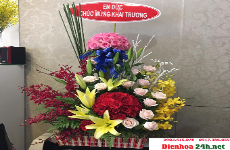 Shop Hoa Tươi Huyện Thanh Bình Tỉnh Đồng Tháp