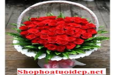 Shop Hoa Tươi Tuy Phong Bình Thuận