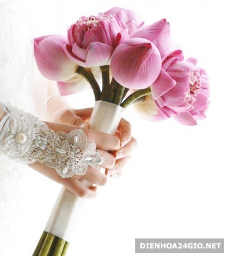 Cùng khám phá những bó hoa sen cô dâu sang trọng và độc đáo để tôn vinh sắc đẹp và sự quyến rũ của cô dâu. Xem hình ảnh để tìm kiếm ý tưởng thiết kế cho những bó hoa đầy tình yêu này.