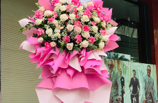 Shop Hoa Tươi Tây Ninh