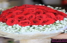 Shop Hoa Tươi Huyện Anh Sơn Tỉnh Nghệ An