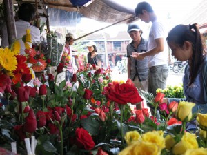 Cửa Hàng Hoa Tươi Tại Trà Vinh