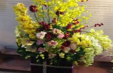 Shop hoa tươi đẹp tại Sóc Trăng
