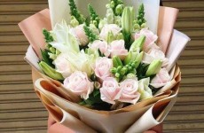 SHOP HOA TƯƠI TIỂU CẦN TRÀ VINH