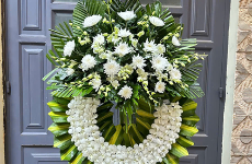 Hoa Tang Lễ Huyện Hương Sơn
