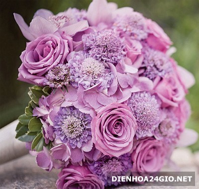 Hoa sinh nhật dành cho các bạn nữ yêu màu tím  Uflowers  Giao Hoa Chuyên  Nghiệp  Nhiều mẫu hoa đẹp