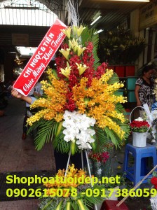 Shop Hoa Tươi Bến Tre