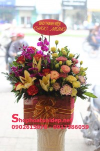 Shop Hoa Tươi Quận Dương Kinh Hải Phòng