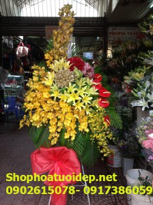 Shop Hoa Tươi Tại Long Xuyên An Giang