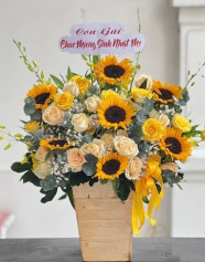 Chúc Mừng Hồng Phát