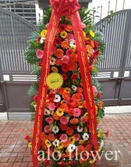 Hoa Khai Trương Hàn Quốc