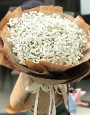 Giá Hoa Bi Trắng Bao Nhiêu Tiền 1 Bó? Địa Chỉ Shop Bán Hoa Baby?