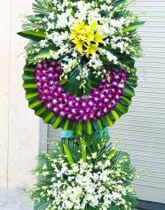Hoa Tang Lễ Tông Trắng Tím 