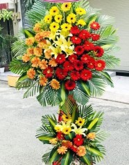 Hoa Khai Trương Phát Lộc