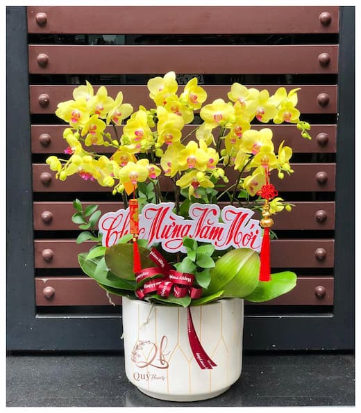 Shop Hoa Lan Hồ Điệp Lương Tài Bắc Ninh