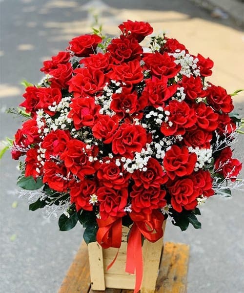 Shop Hoa Tươi 13A Lê Trọng Tấn – Hoa Tươi An Khê, Thanh Khê, Đà Nẵng