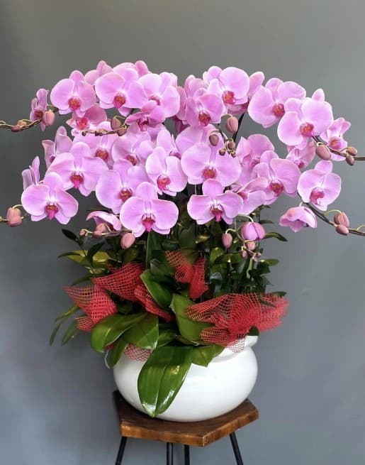 shop hoa tươi Gò Dầu Tây Ninh