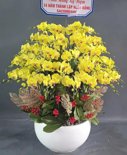 shop hoa tươi Lục Ngạn 