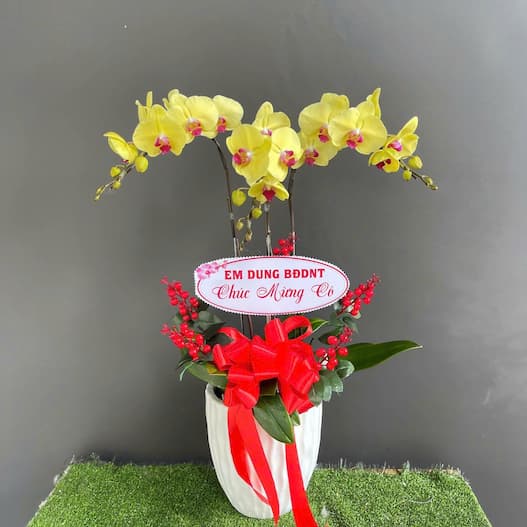 shop hoa tươi thị trấn Kép