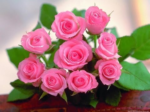 6 cách cắm hoa đẹp cho ngày lễ tình nhân (valentine) - vietflower.info
